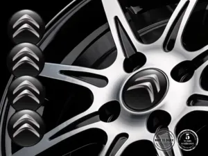 Citroen Ruota Adesivi Edizione Stile Silicone Lusso